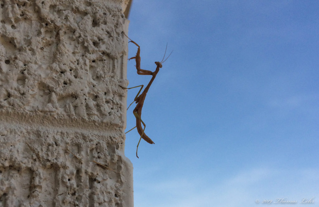 feel how your breathing makes more space around you.