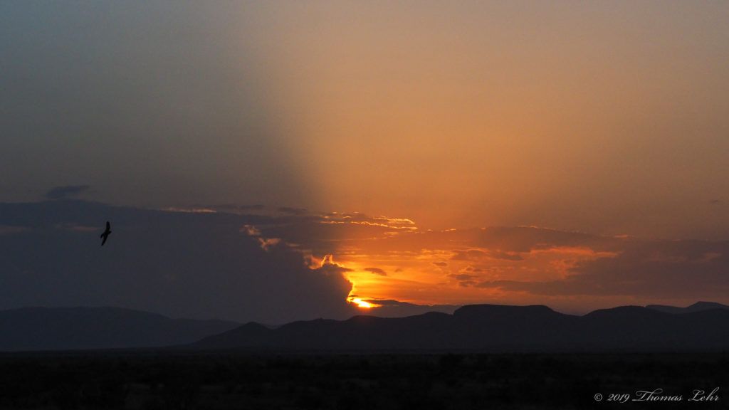 until each ungovernable heart admits: “I confused myself