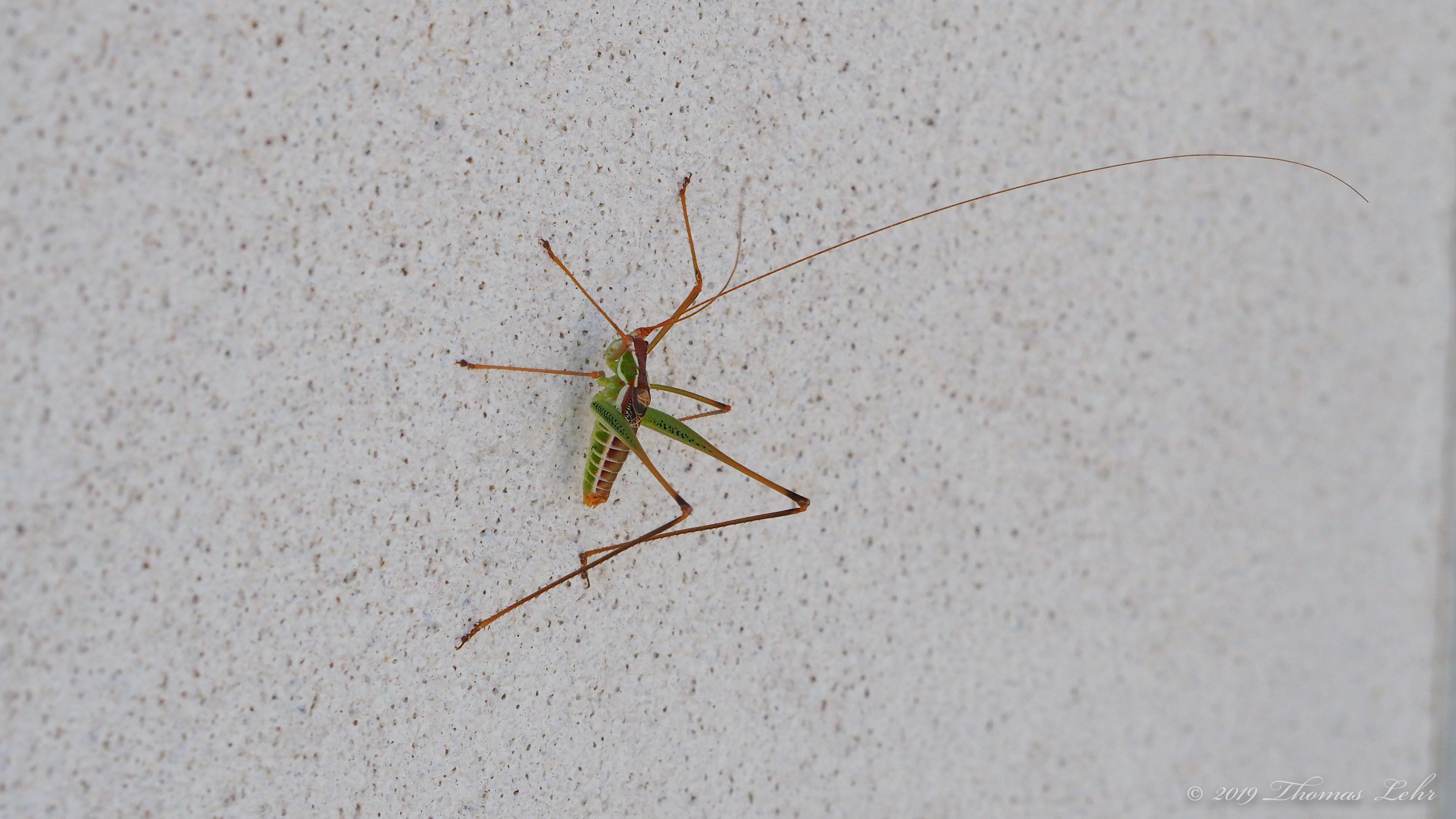 Even if I don’t see it again—nor ever feel it