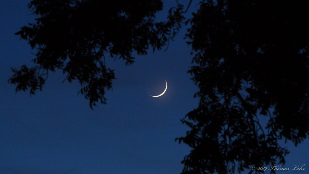 a dark handful, sweet-edged,