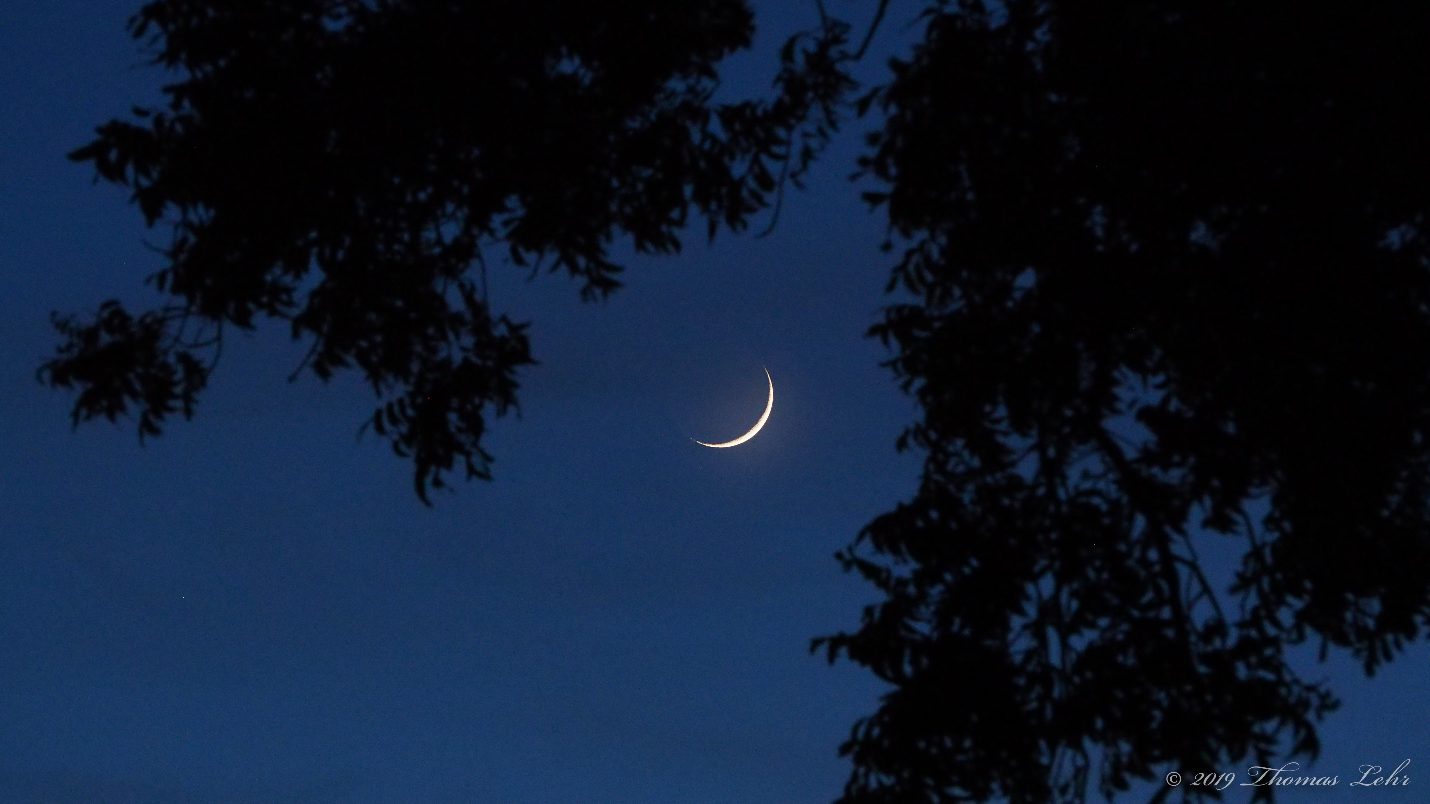 What I get, I bring home to you: