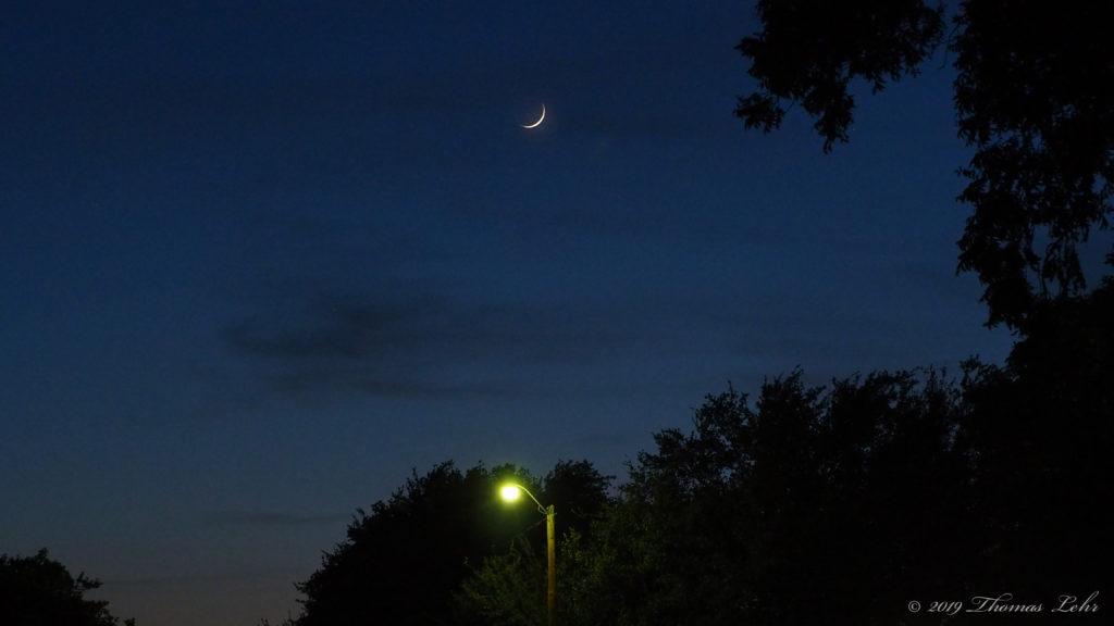 dissolving in one mouthful. —Helen Dunmore