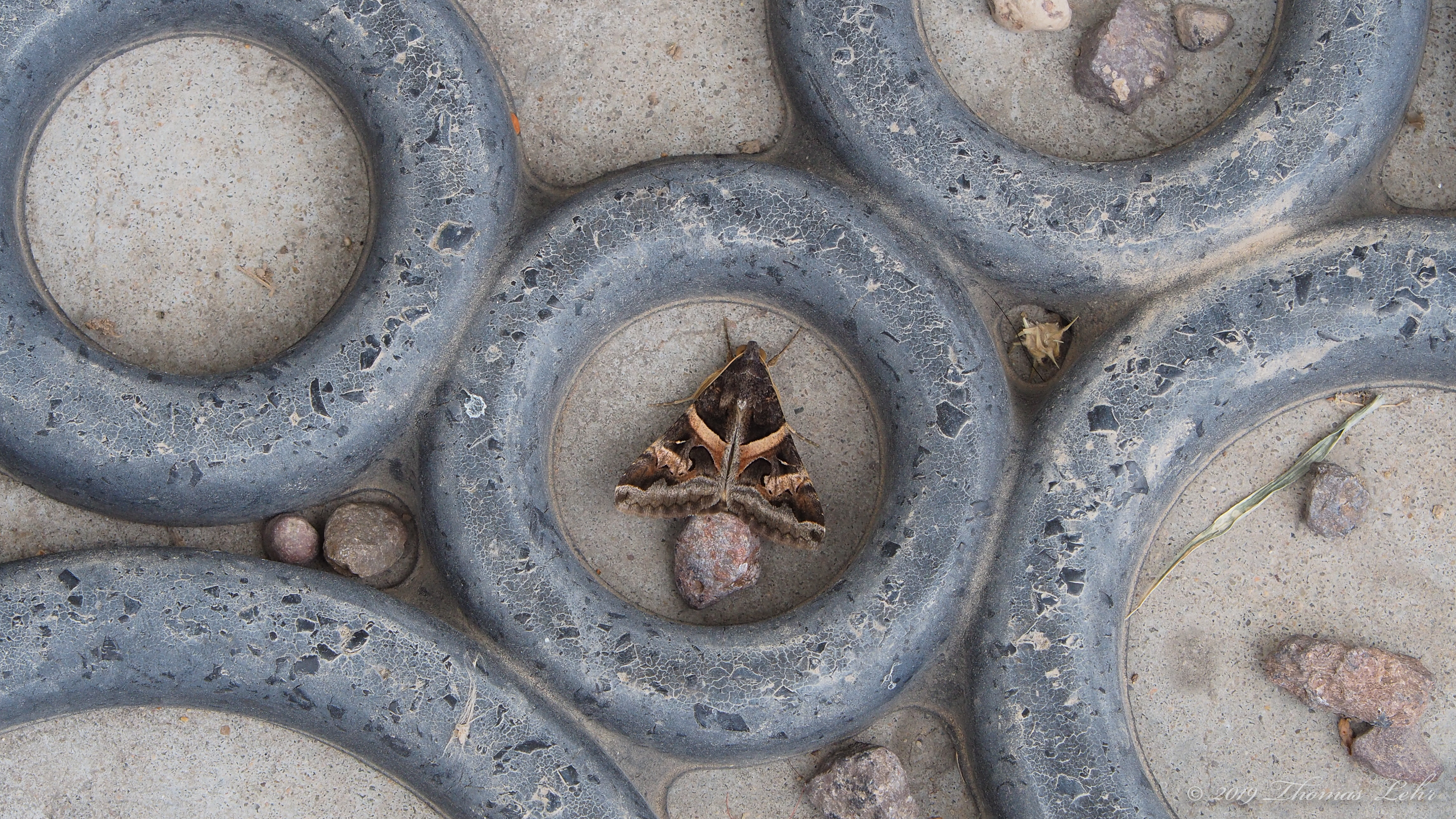 Guardian angels, wherever you’re hiding,