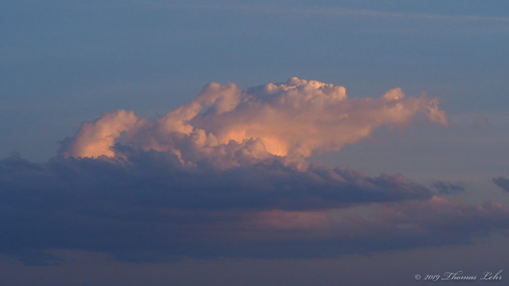 horses? The memory of ants asleep —Yusef Komunyakaa