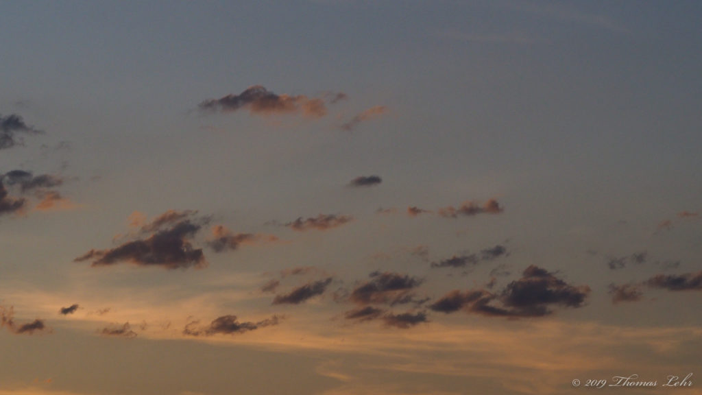 cannot resist being rich. I walk