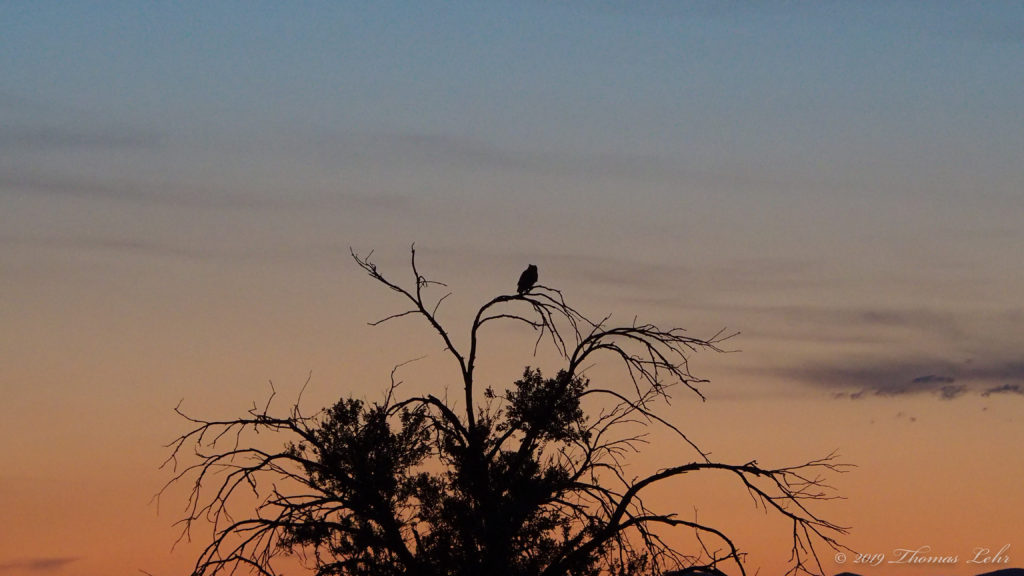 and the whole begins to break apart. —Linda Gregg