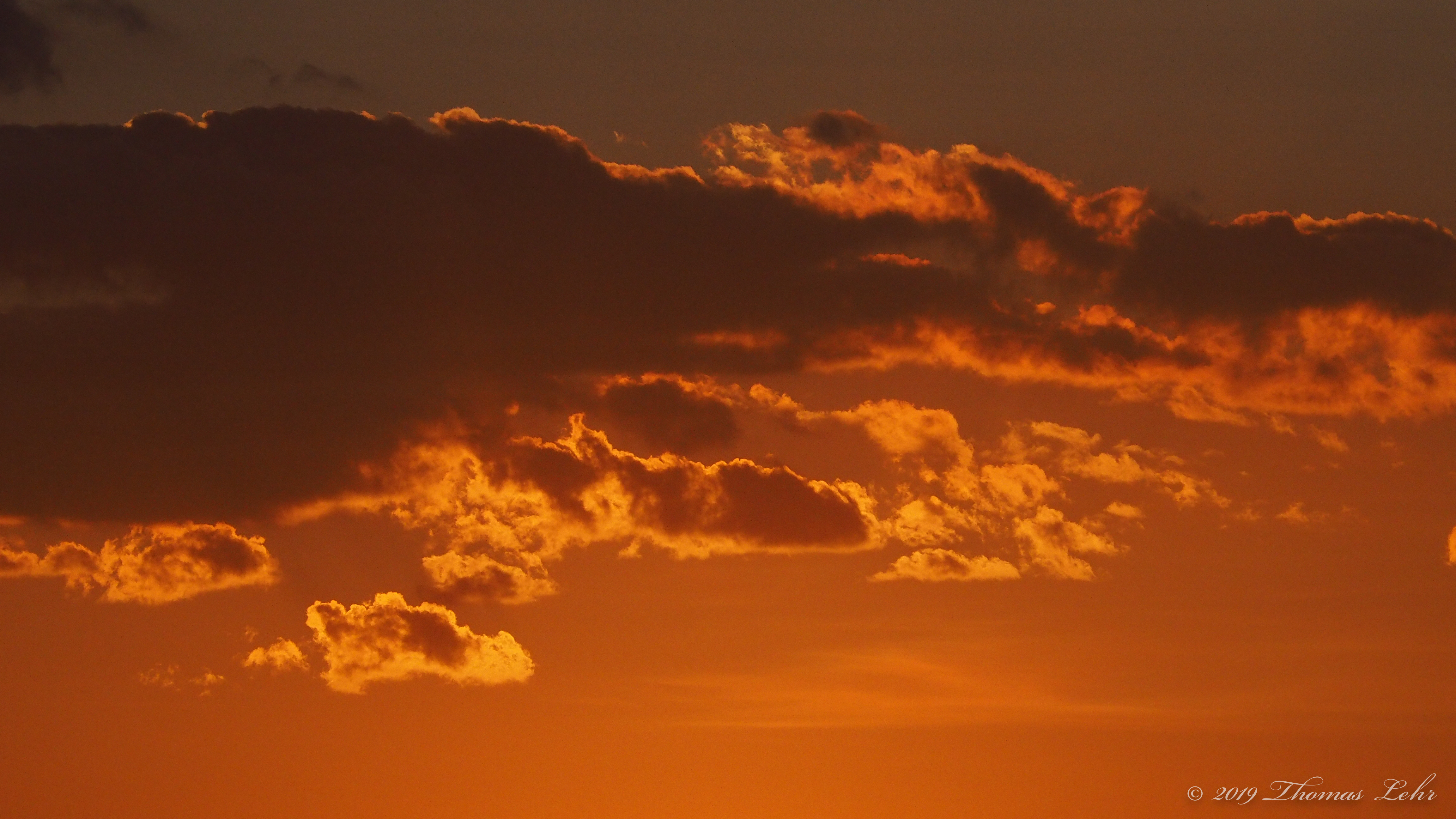 to love life, to love it even