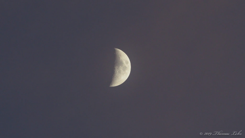 crumbles like burnt paper in your hands, —Ellen Bass