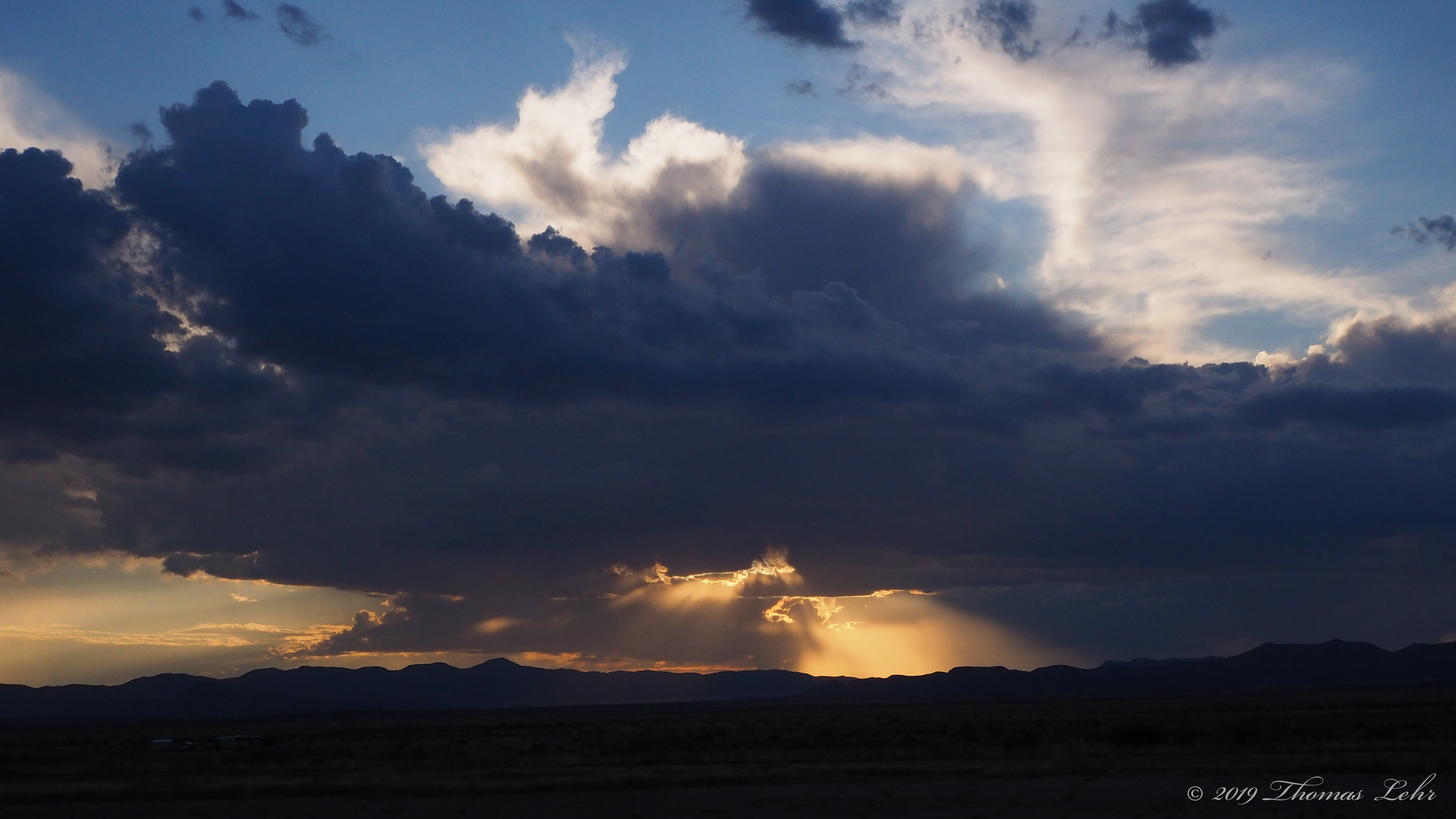 to return with glad impatience