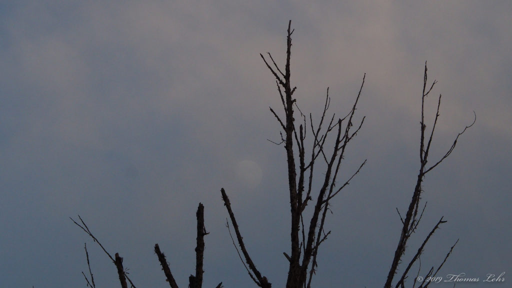 To see it rise there, bold in outline,