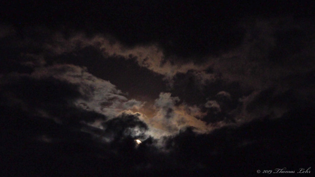 in my mind; sometimes / that’s enough. —Maggie Nelson