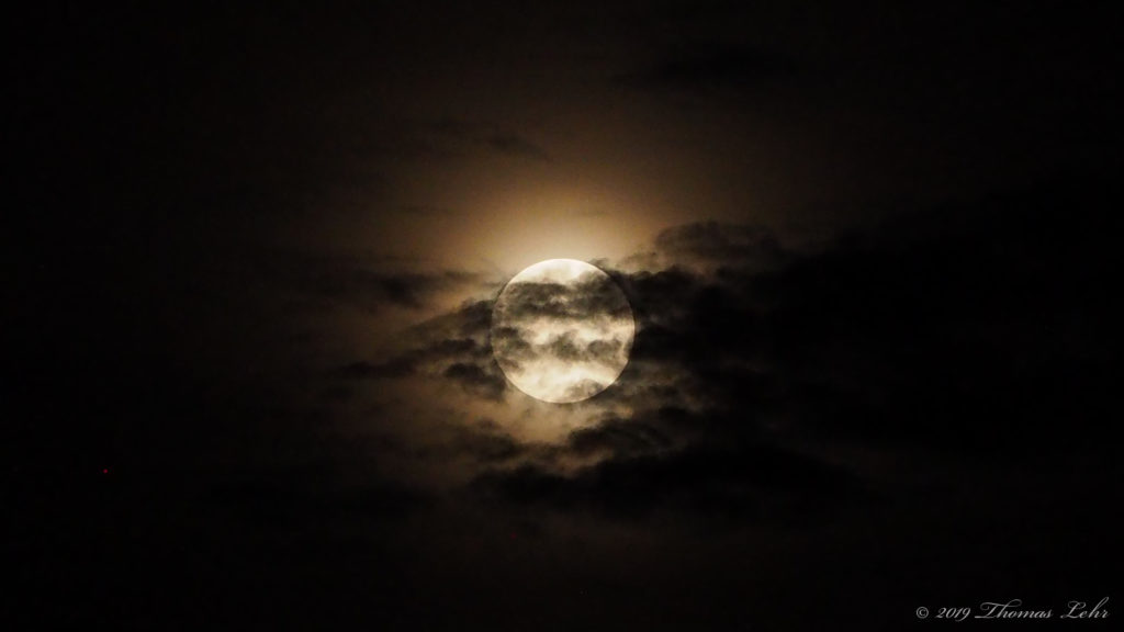 is left in me —Sappho, translated by Anne Carson