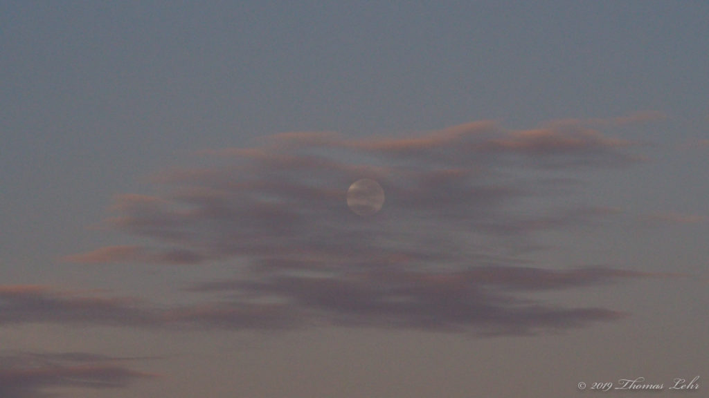 to contemplate this wholeness. —Wislawa Szymborska, translated by Stanislaw Barańczak and Claire Cavanaugh