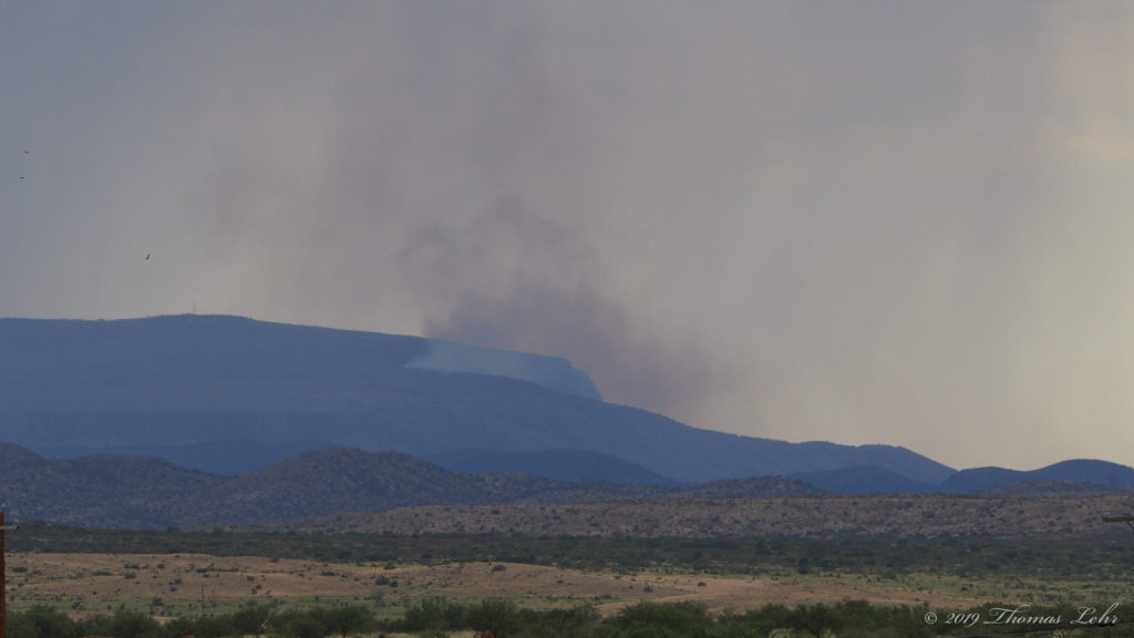 A passion wholly of the mind,