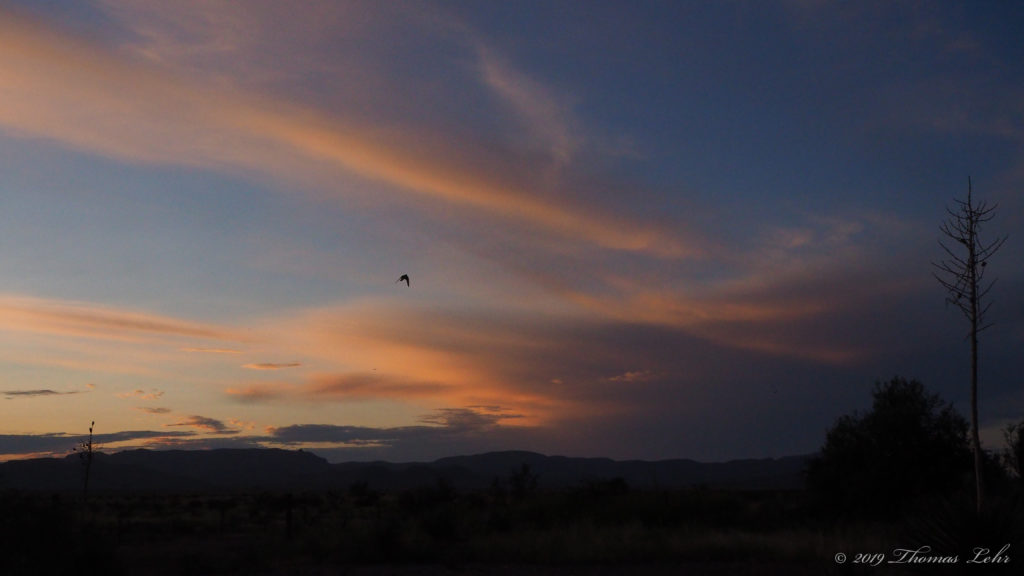 We need not search for other names. —Rainer Maria Rilke, translated by Joanna Macy and Anita Barrows