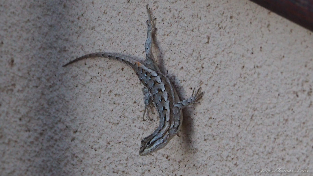 — when we were ocean    and before that