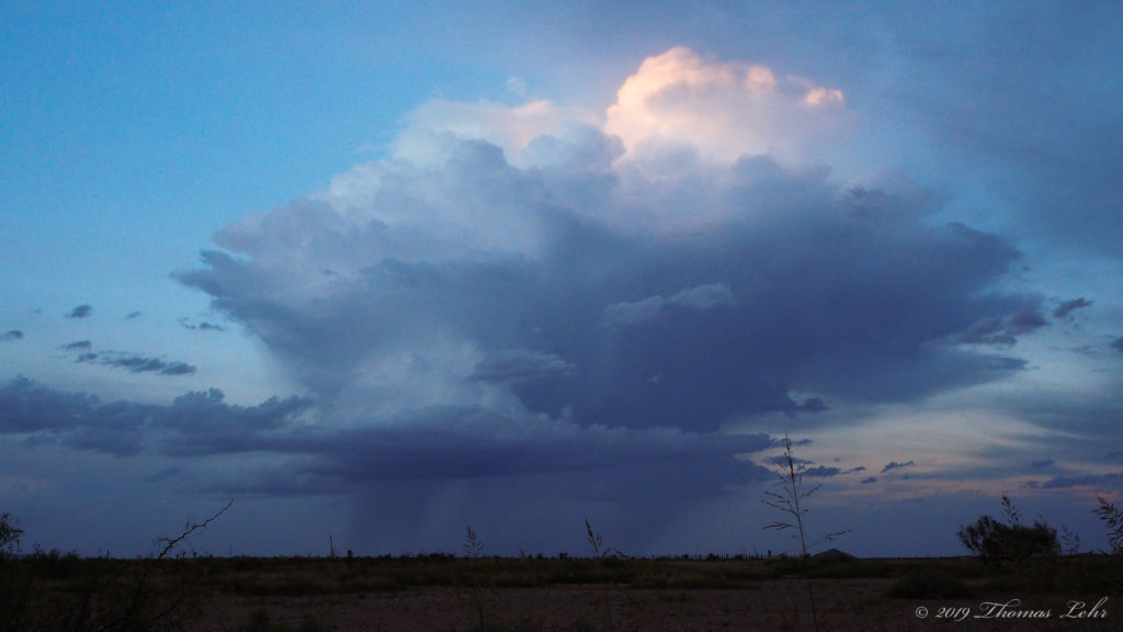 in the blur of our haste,