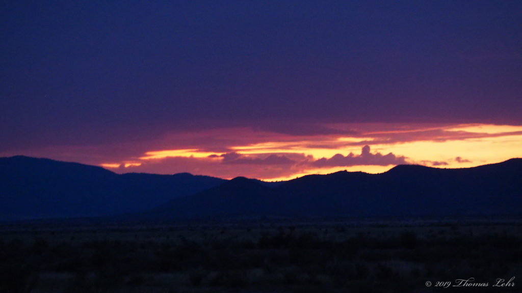 To save your soul. —Lisel Mueller