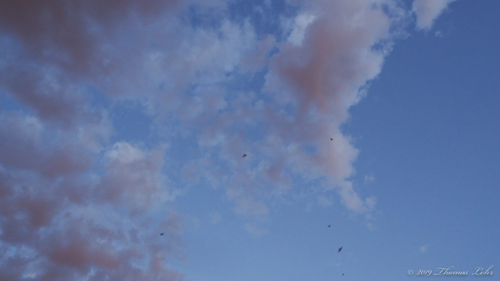 Followed. —Anne Carson