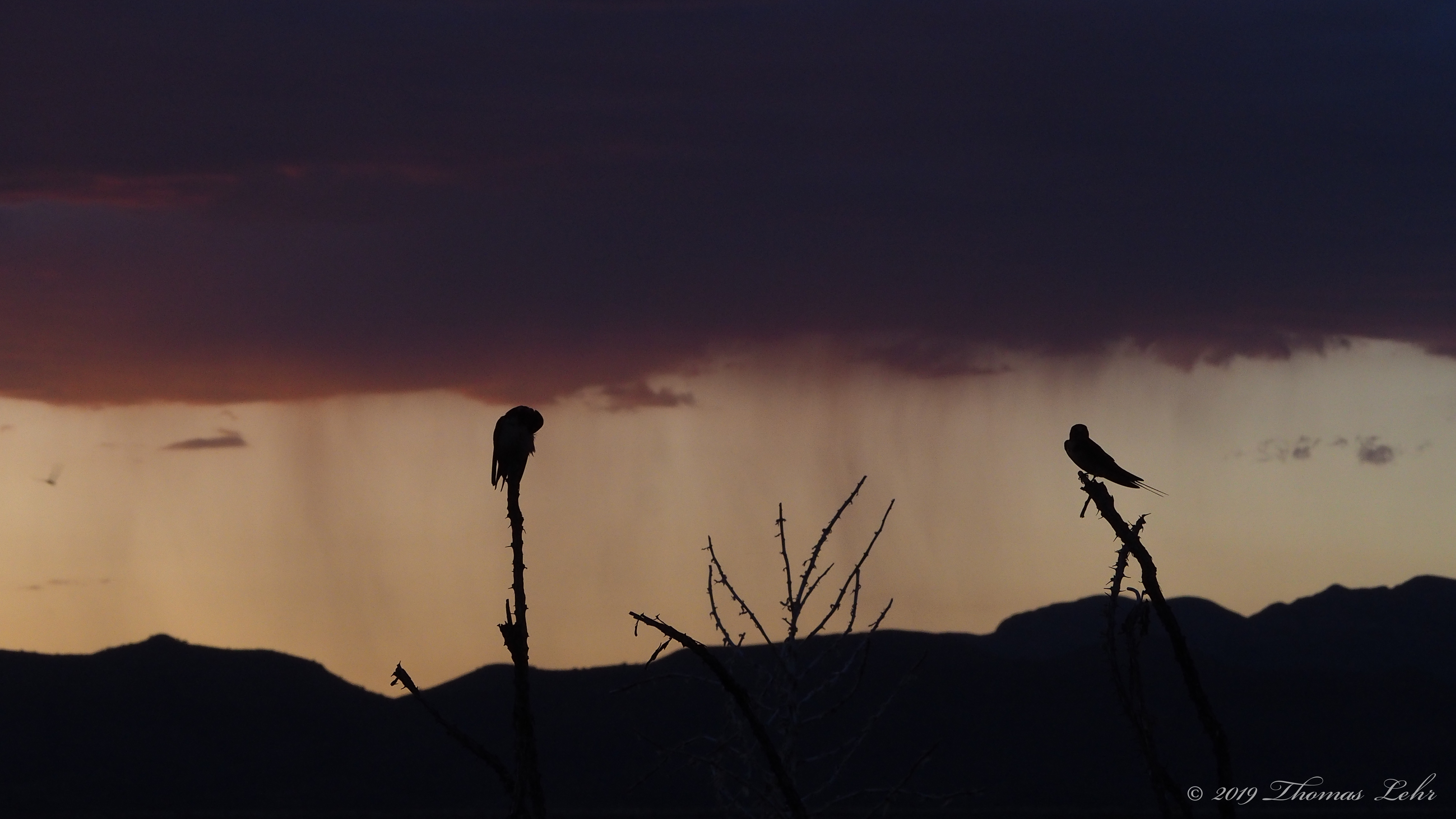 let me rise up joyful