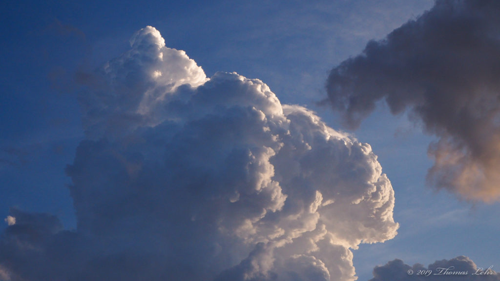 meant, when he wrote: