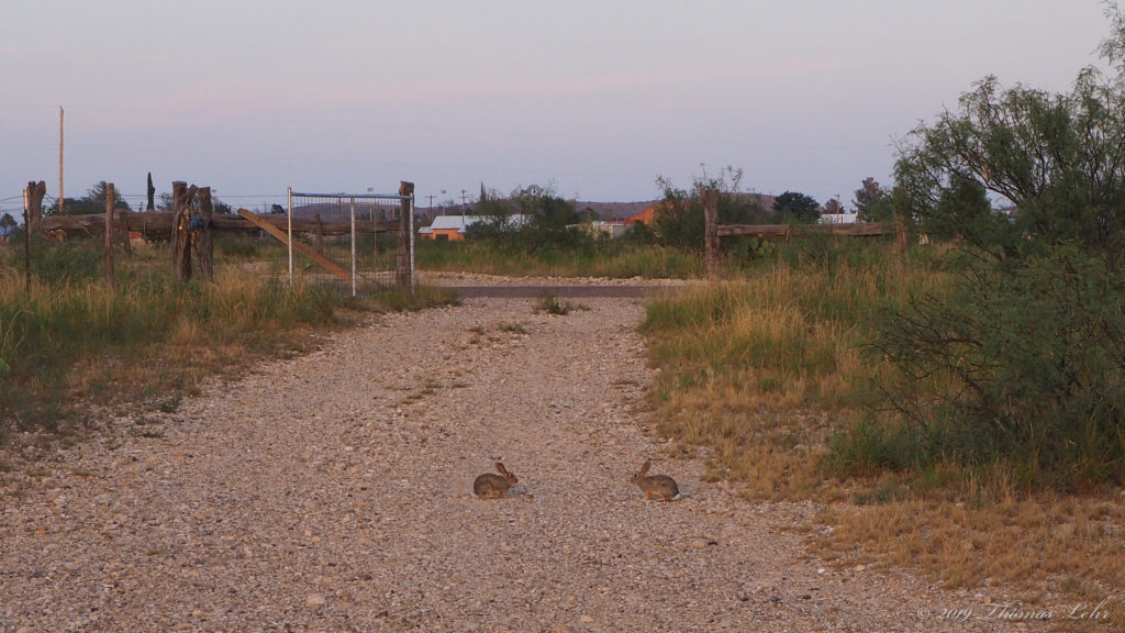 You must change your