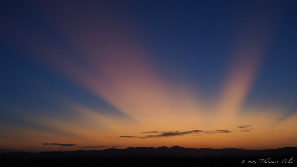 ecstatic tail, you lean over and whisper in