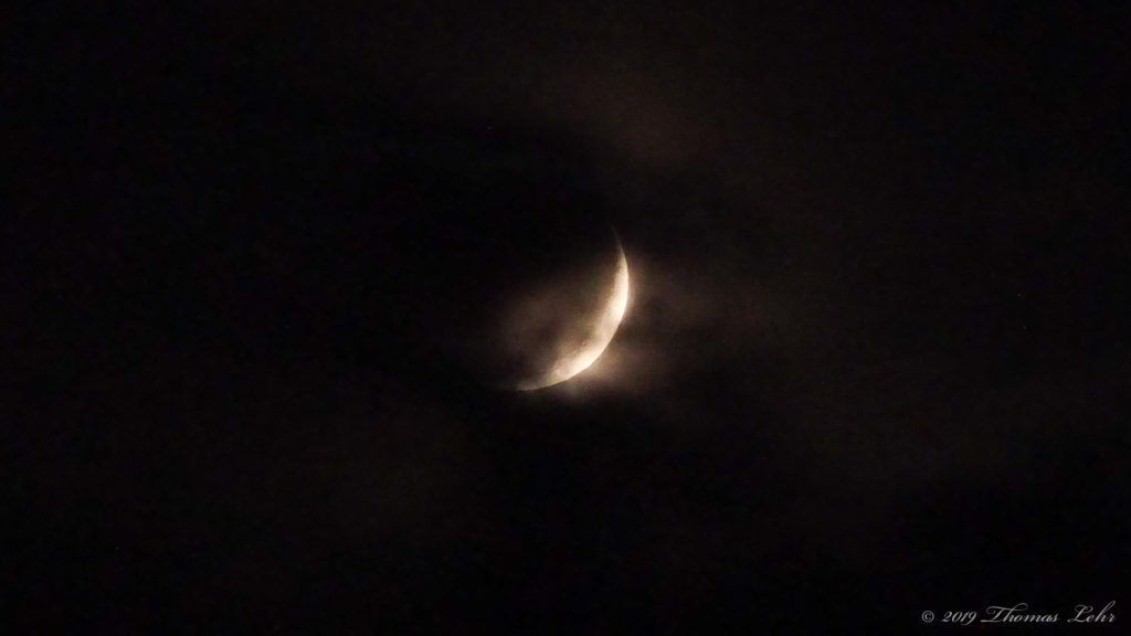 you are still summer —W. S. Merwin