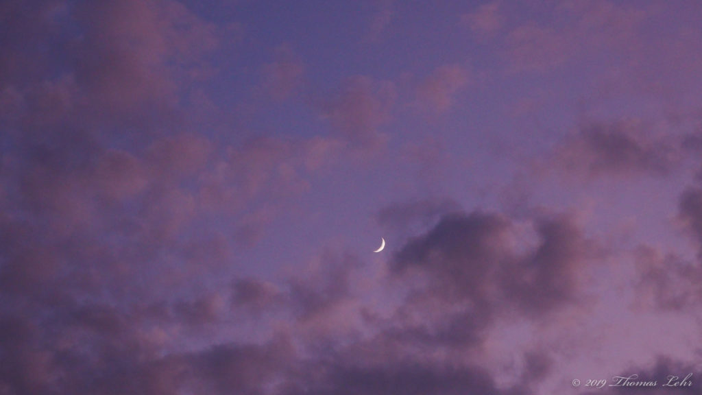 Now you can have a party. Invite everyone you know who / loves and supports you. —Joy Harjo