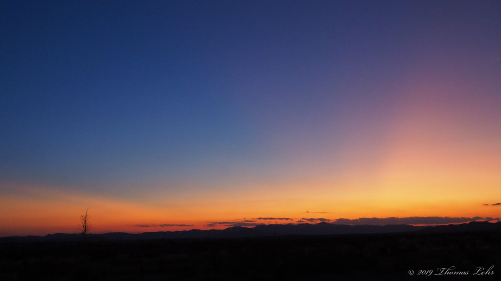 Nothing I believe in. —Jameson Fitzpatrick