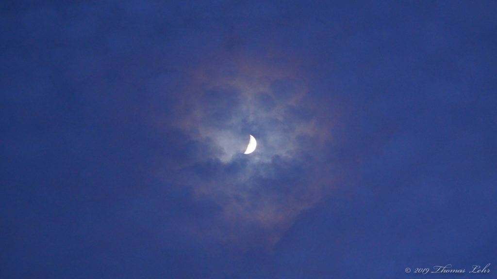 Then three, and four, and ten, until you’d created a new language. —Tadeusz Dąbrowski, translated by Antonia Lloyd-Jones