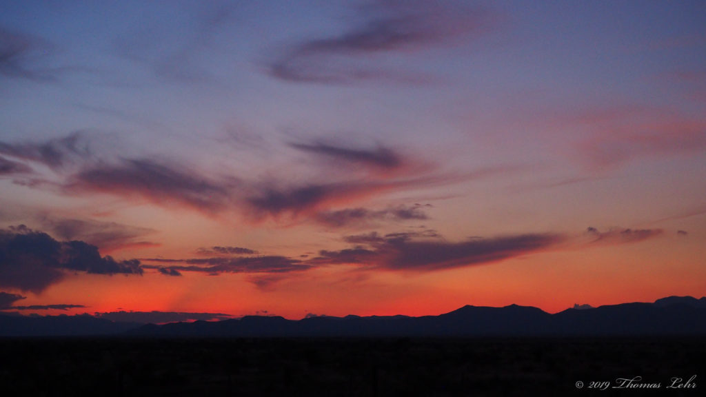 /to get stuck to things,/ —Tadeusz Dąbrowski, translated by Antonia Lloyd-Jones