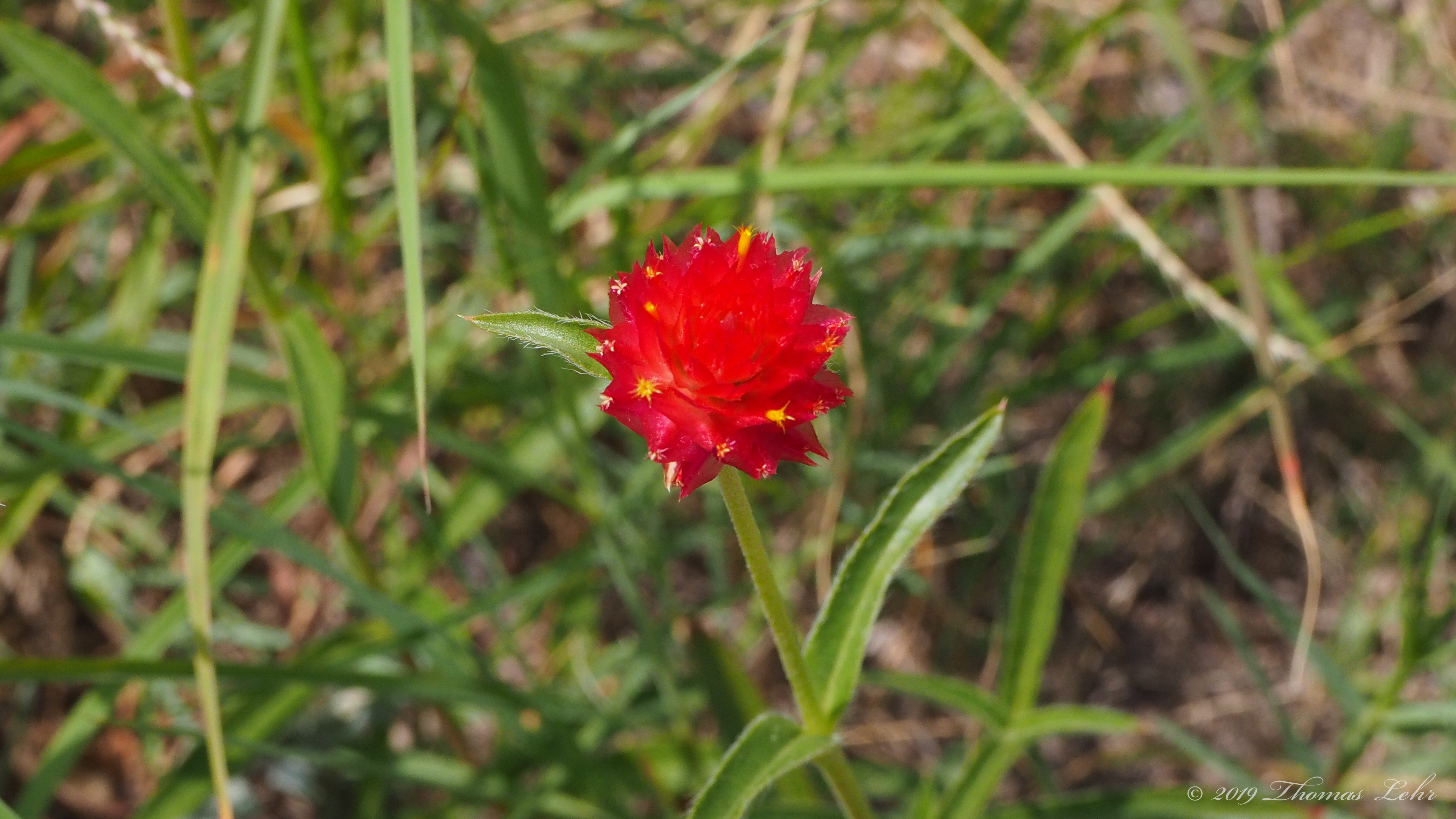 The oasis does not sleep; it is always open; its