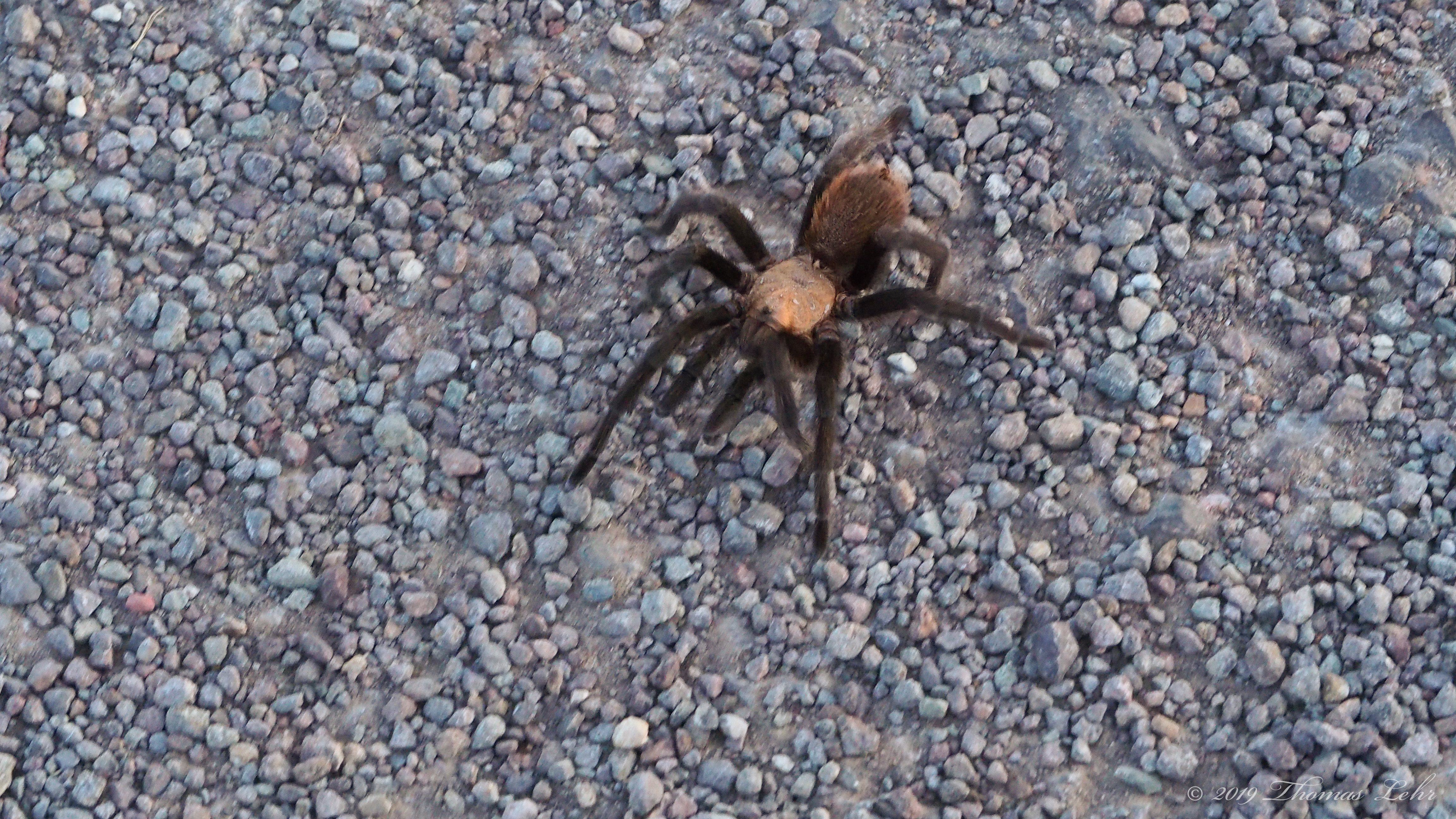 The sun was going down. I would like to hold