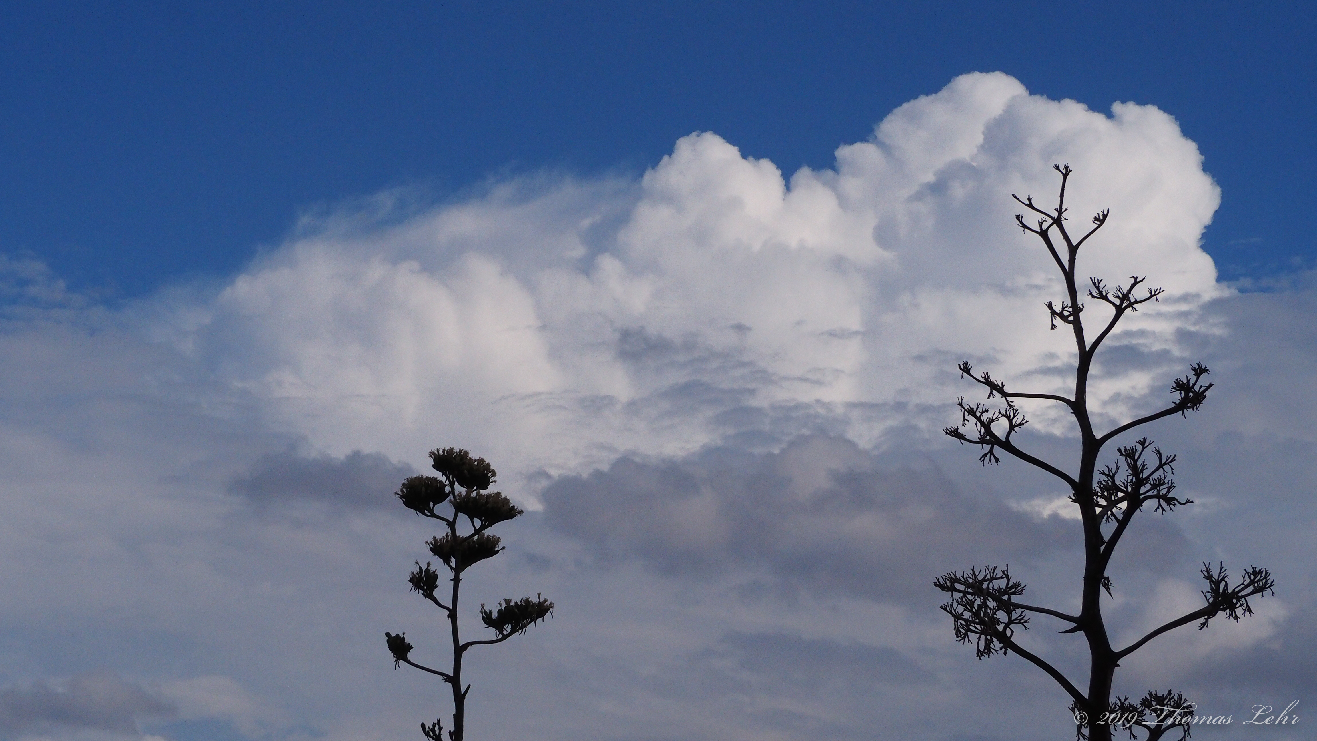 You do not have to walk on your knees