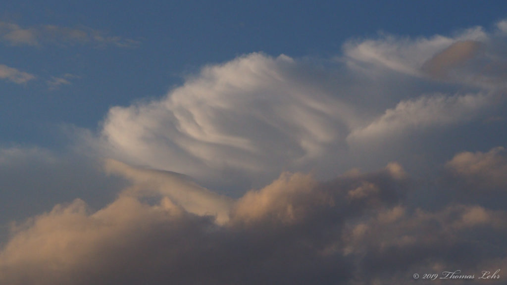 You only have to let the soft animal of your body