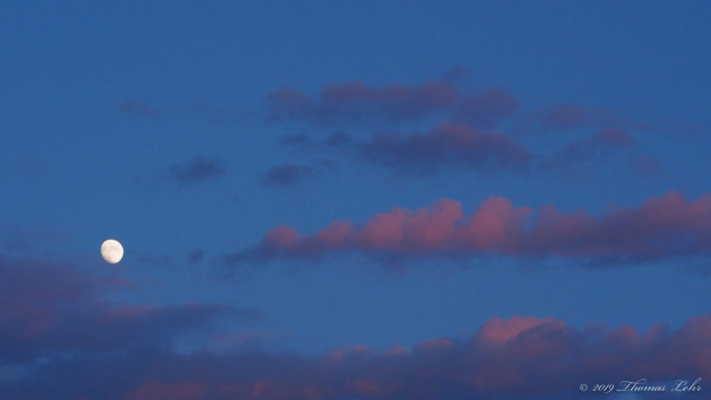 Tell me about despair, yours, and I will tell you mine.