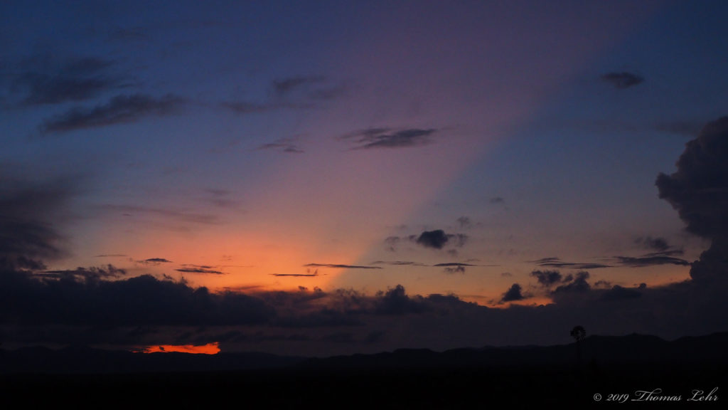 Meanwhile the world goes on. —Mary Oliver