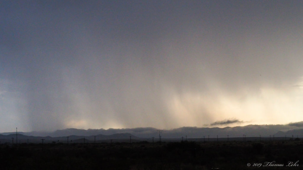 for the state of the world: