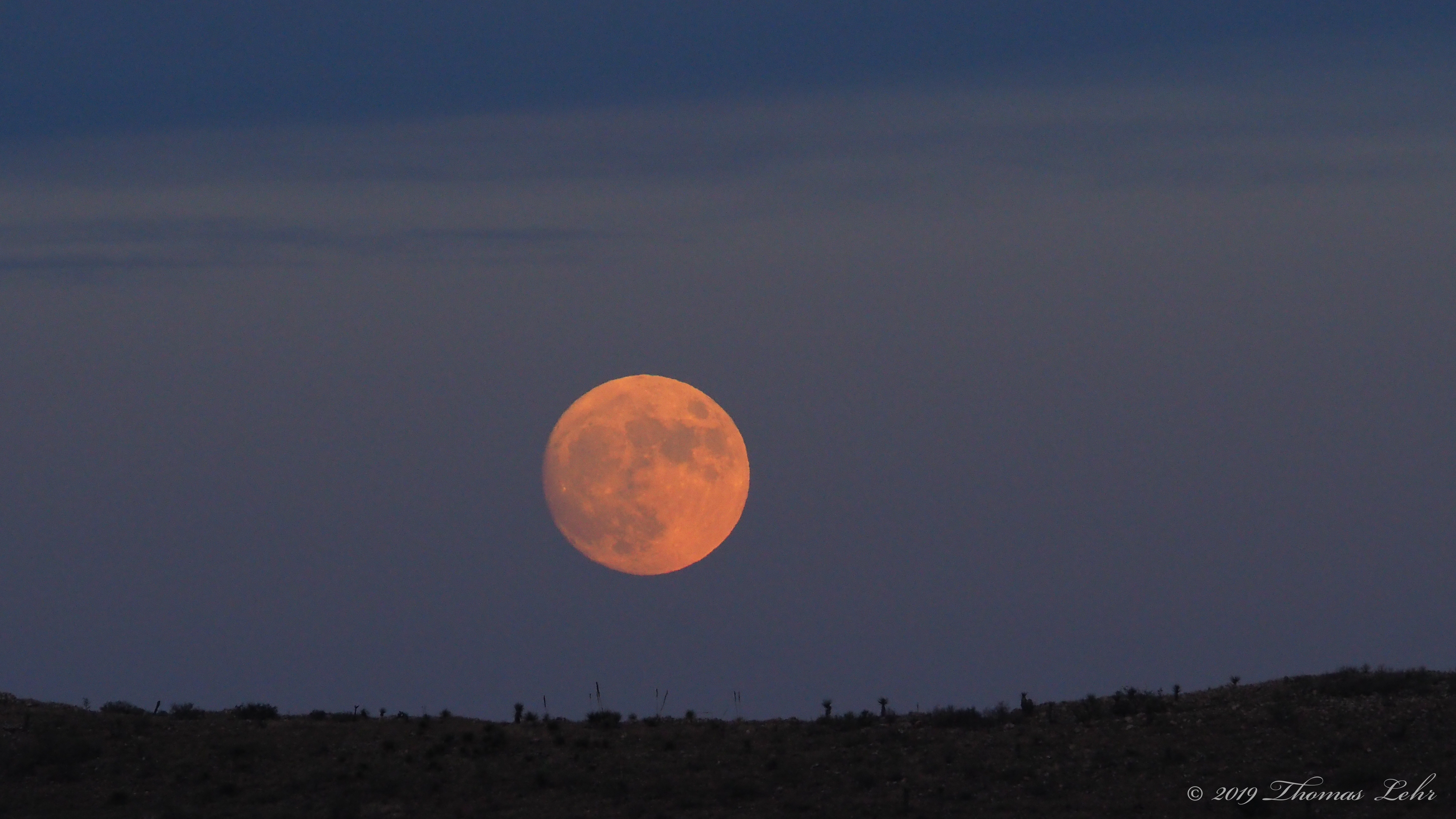 The light already felt like fall,