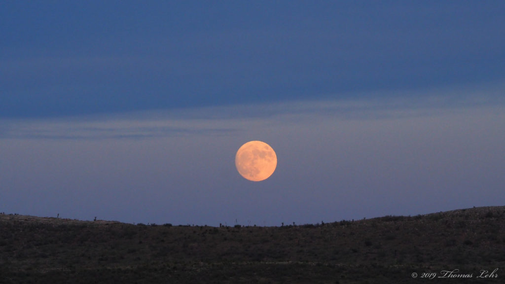 and treetops like someone leaving