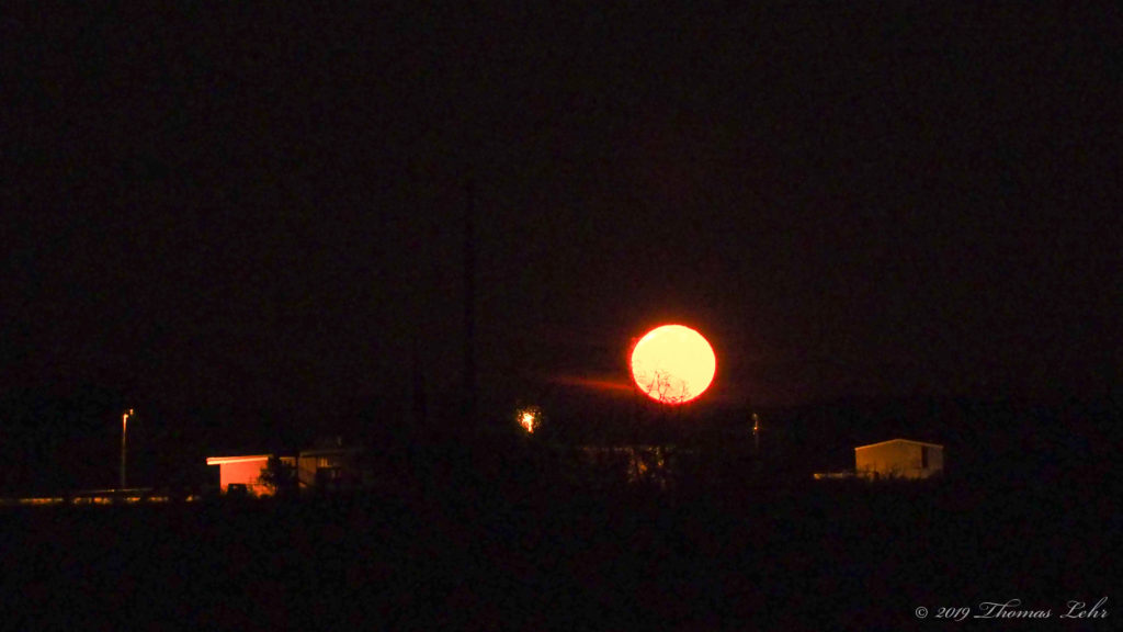 In which being there together is enough. —Wallace Stevens