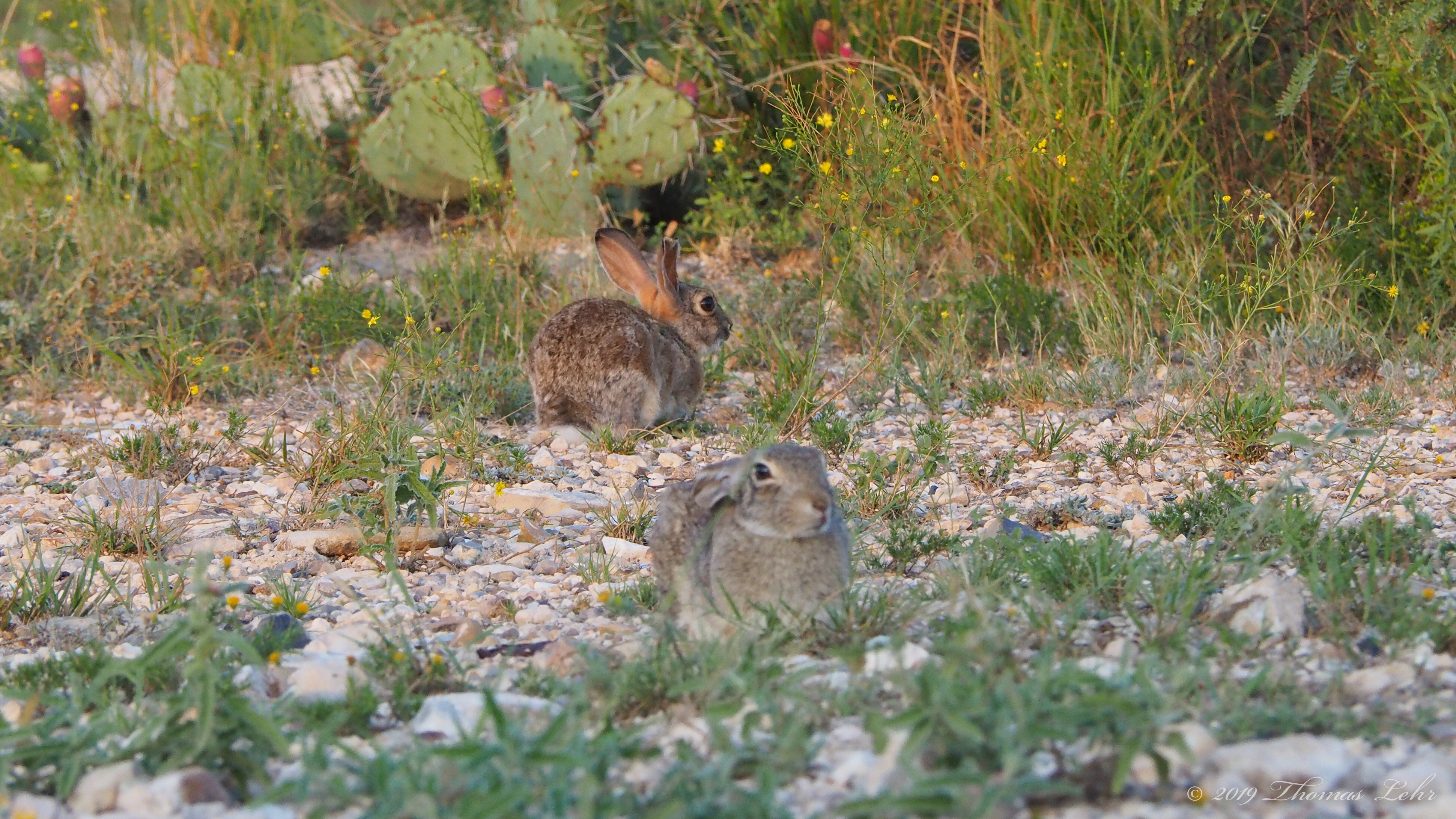 this moment—what is it—just