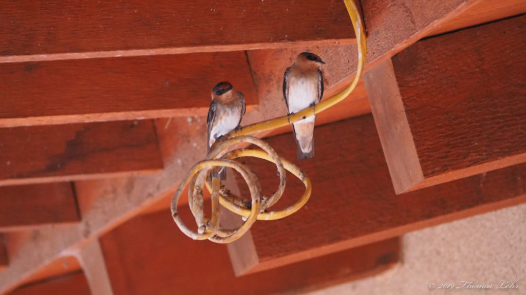 and yet it’s taken over everywhere, —Adam Zagajewski, translated by Clare Cavanagh