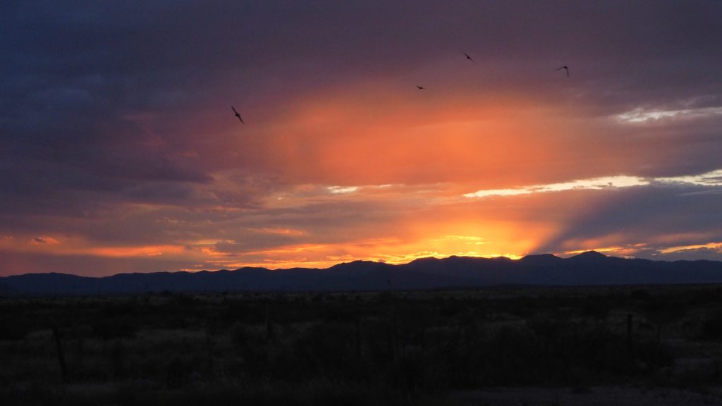 to turn and face you quicker than a kiss / or a hyphen —Anne Carson