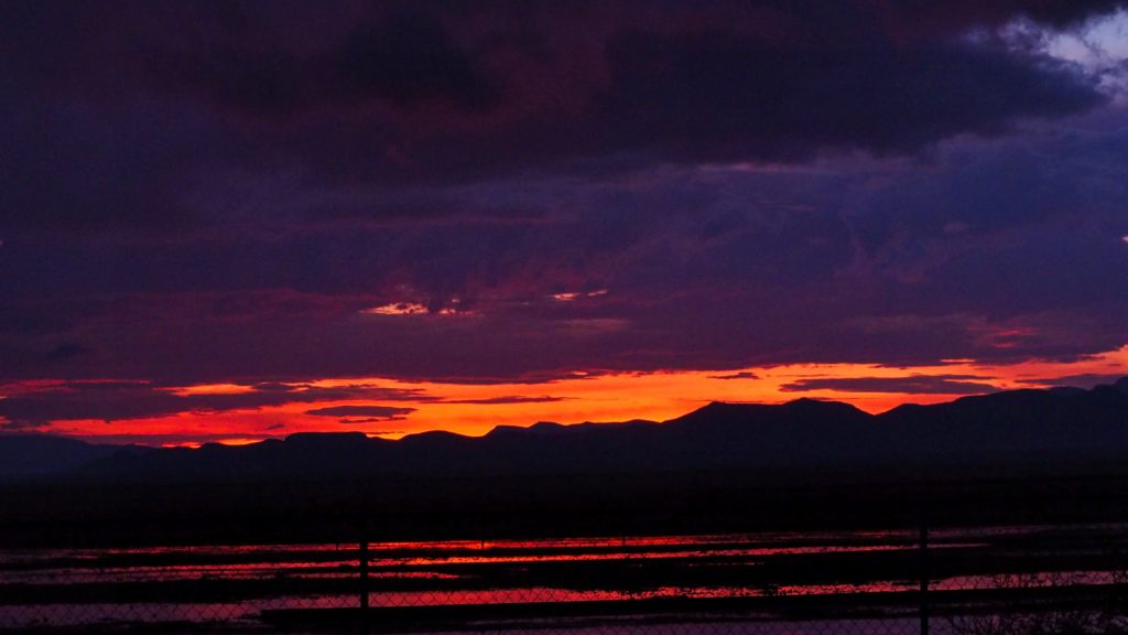 and the wanderings of water. —Mary Oliver