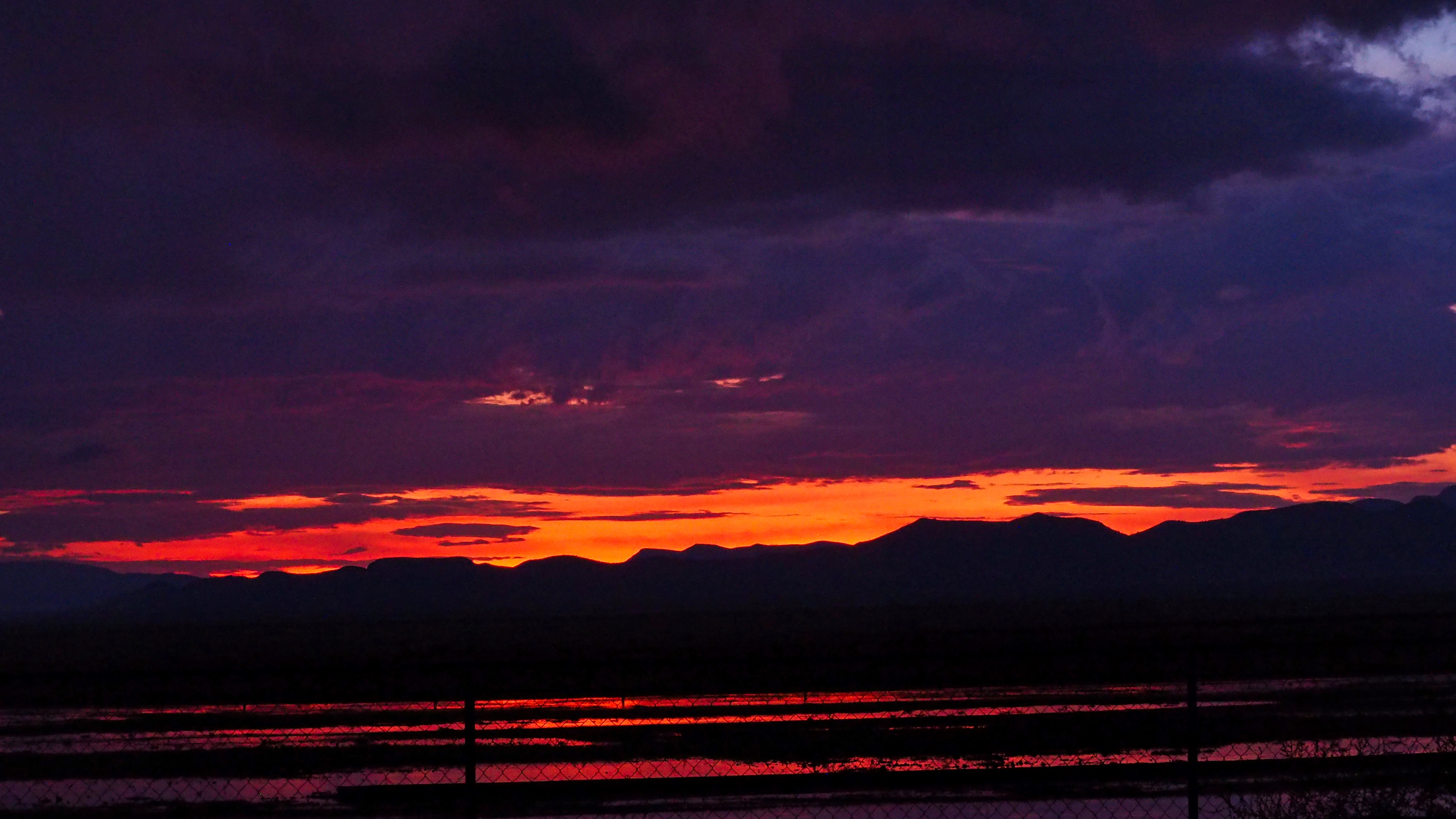 in that black subterranean castle // of unobservable mysteries—roots and sealed seeds