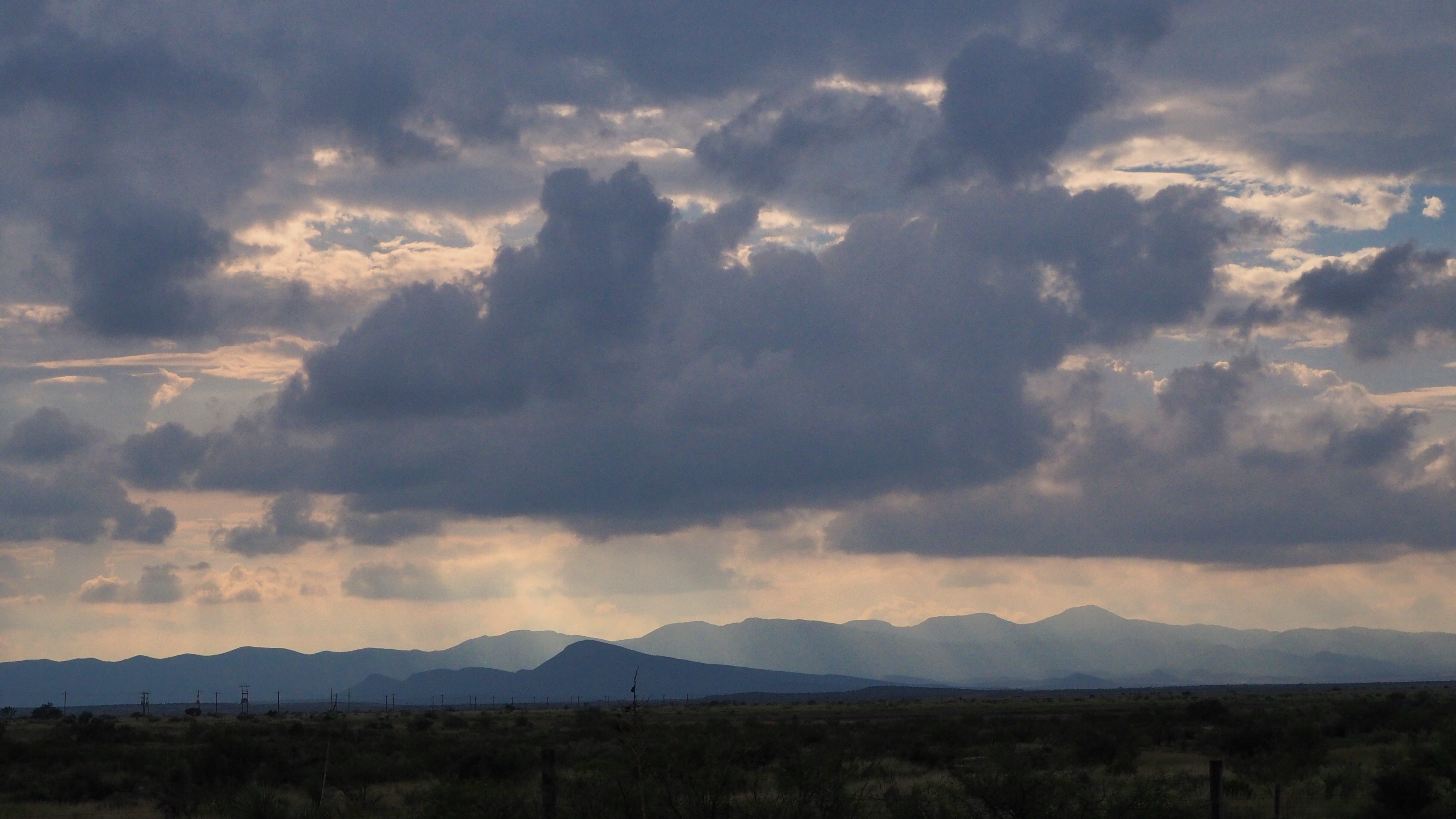 They let you know they are there