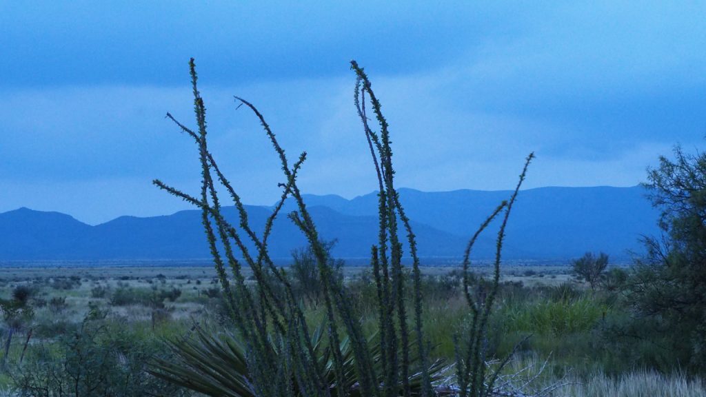 imperceptible wave —Lisel Mueller