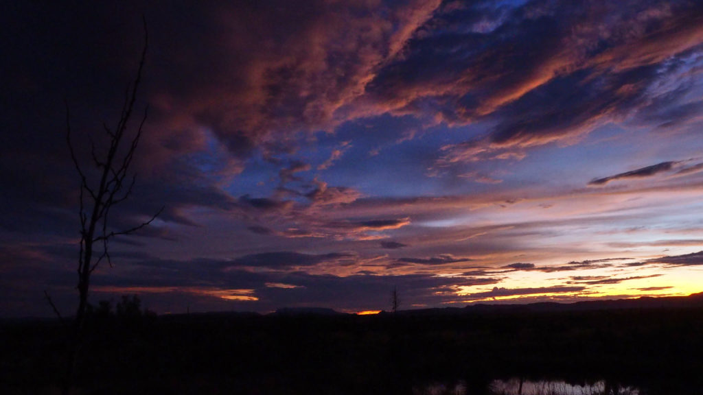 autumn was closing in on me